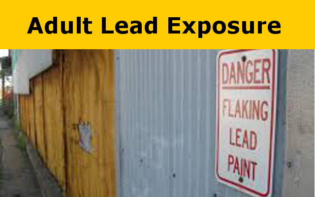 Adult Lead Exposure report link